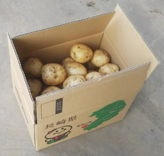 商品写真