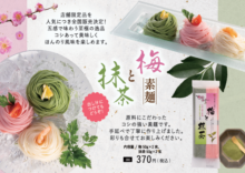 島原手延べ素麺　梅と抹茶